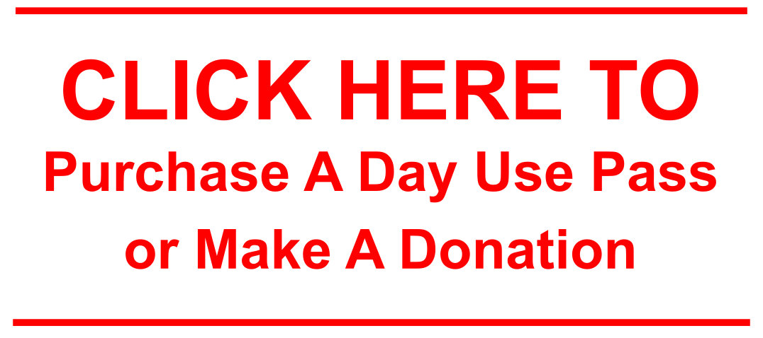 click here button (2)